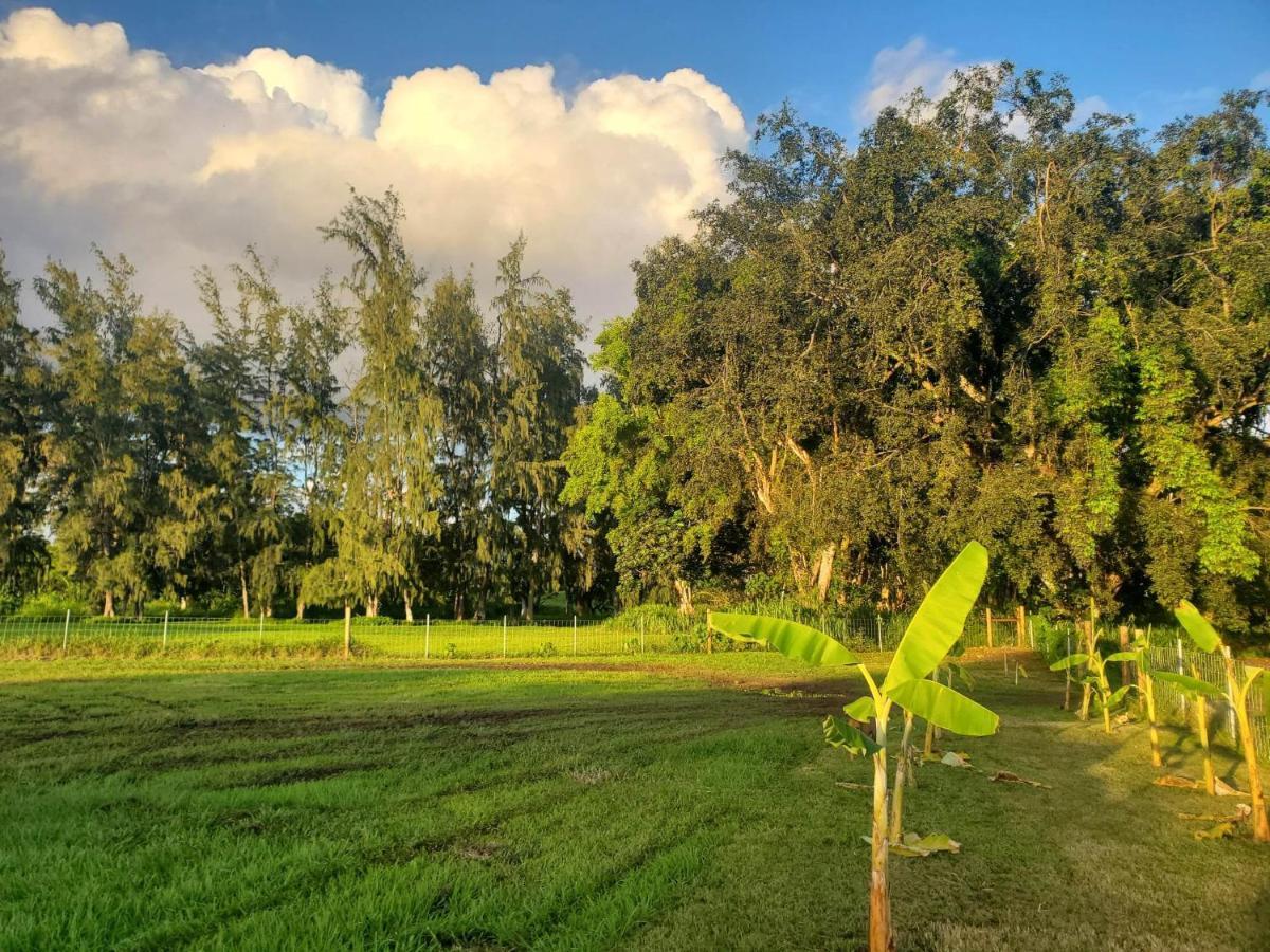 Maleka Farm: Tent Glamping North Shore Oahu Laie Bagian luar foto